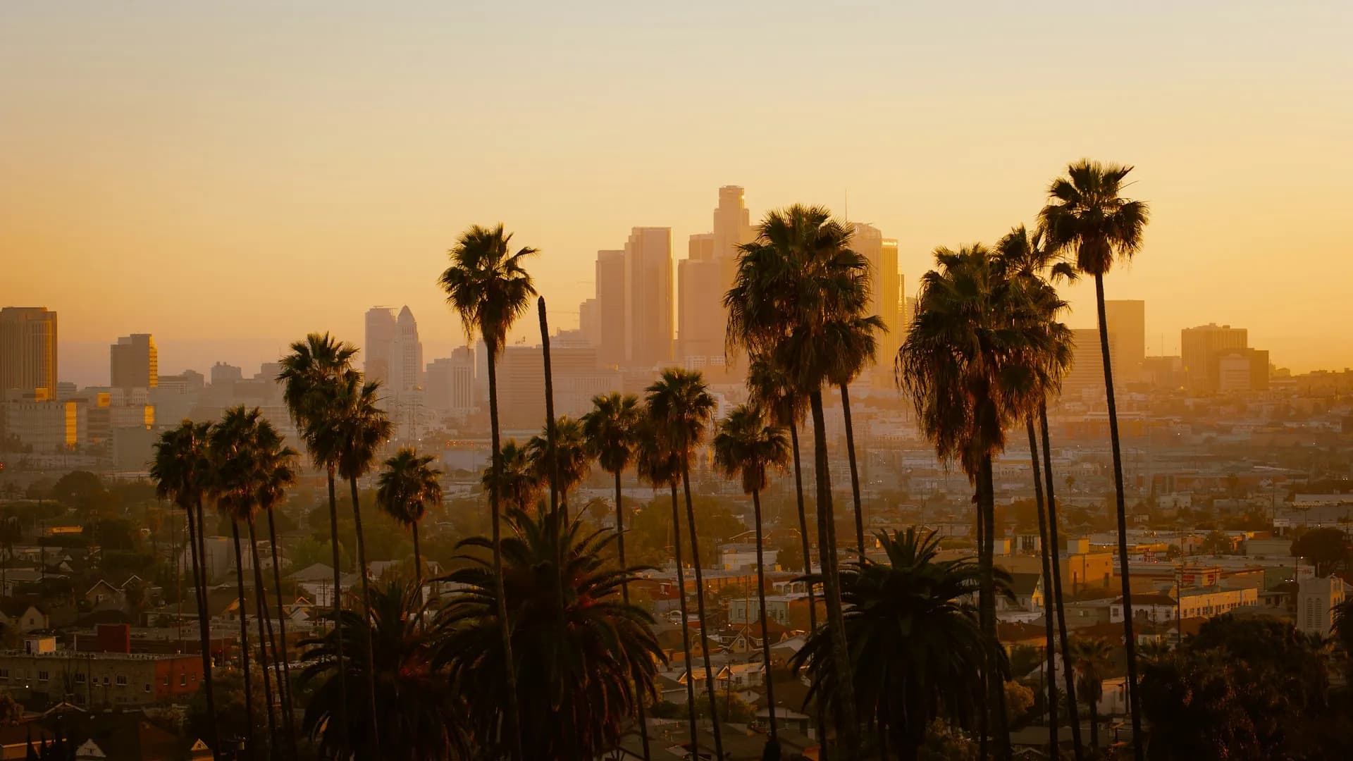 Warm sunset view of the Los Angeles skyline framed by tall palm trees, showcasing the sunny Southern California environment for local Assisted Living communities.