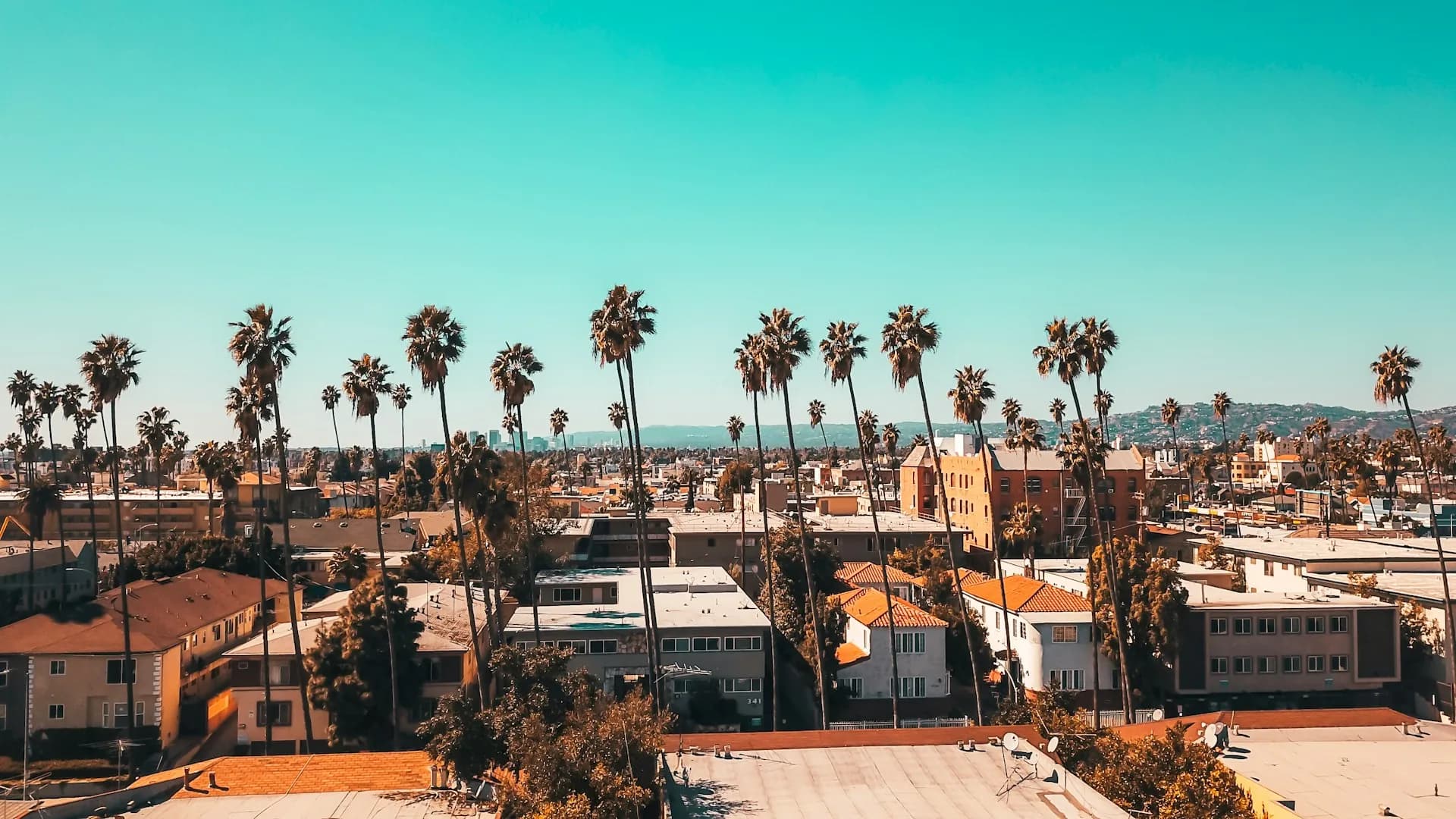 A high-angle view of a sunny Los Angeles neighborhood featuring residential apartment complexes and houses lined with towering palm trees under a bright blue sky, highlighting local community options for Skilled Nursing Facilities.